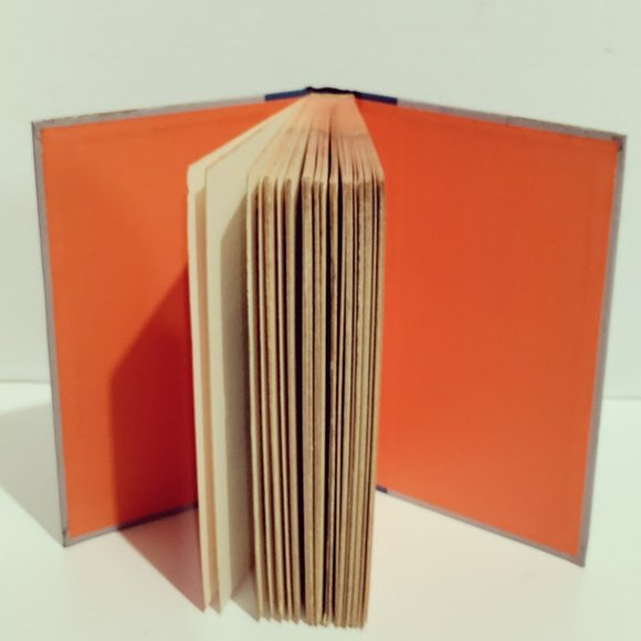 Hans Brinker or The Silver Skates by Mary Mapes Dodge - Picture 6 of 6